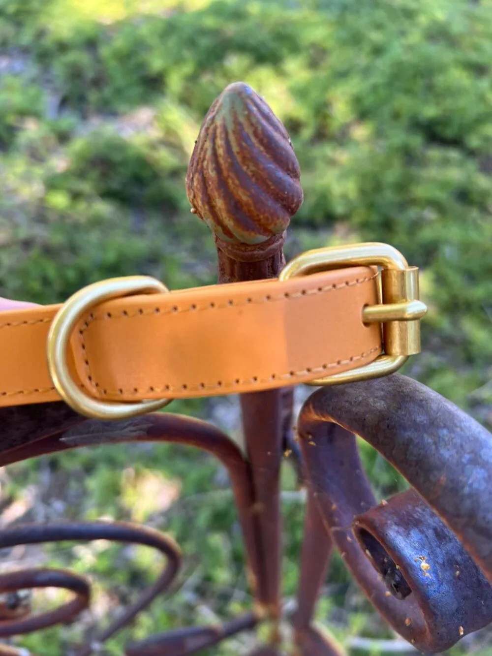 NWOT - Anthropologie Dog Collar - Icon - Lemons & Leather - Small